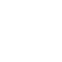 Loans